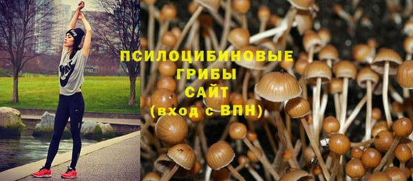 молекула духа Зеленодольск