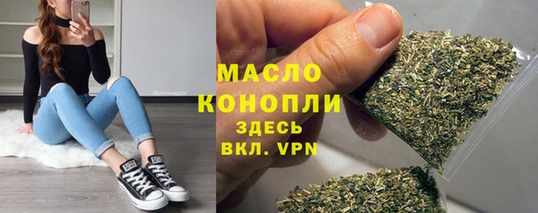 молекула духа Зеленодольск